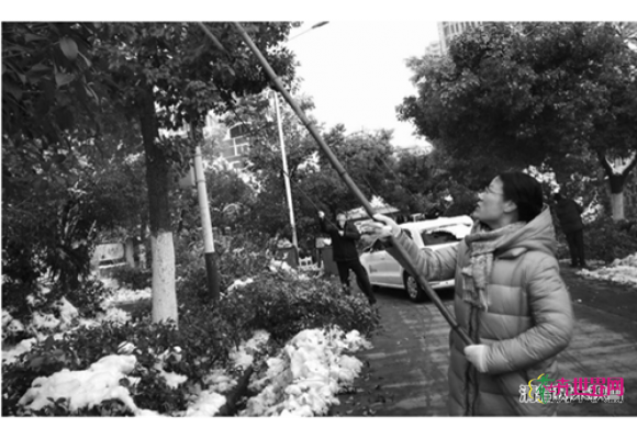 合肥蜀山区：七千余人清扫树木积雪