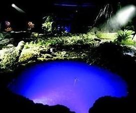 “生命与死亡”园艺布景赢得最高奖