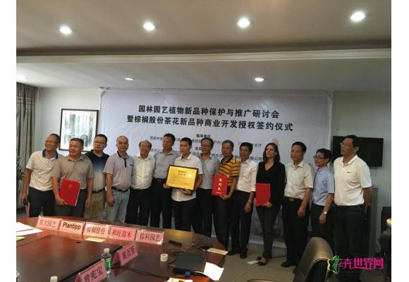 棕榈股份茶花授权签约推动产业革新