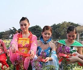广东：三水将在春节期间举办“花朝节”