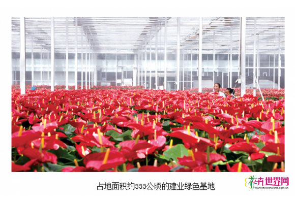 河南鄢陵成全国最大的花木销售集散地 河南鄢陵成全国最大的花木销售集散地