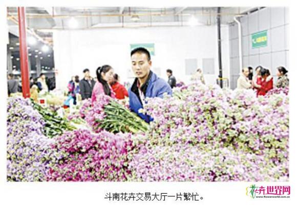 斗南花卉迈向“世界级” 冲刺国家级花卉产业园区示范区 斗南花卉迈向“世界级” 冲刺国家级花卉产业园区示范区