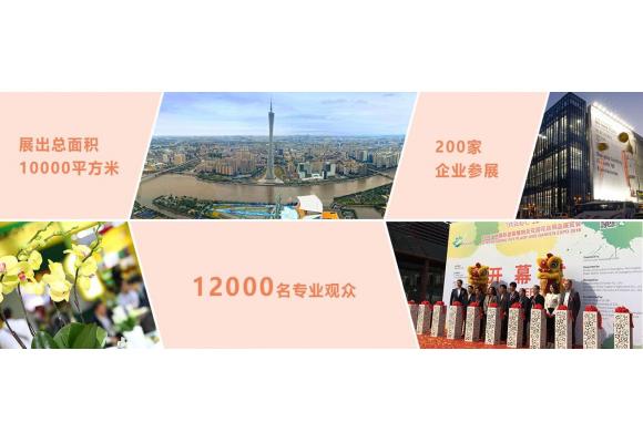 聚焦花城“种花”“养绿”新政,链接广州11月芬芳满城 聚焦花城“种花”“养绿”新政,链接广州11月芬芳满城