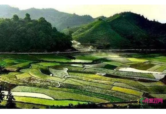 中央一号文件:乡村振兴将一手抓“钱”一手抓“地” 中央一号文件:乡村振兴将一手抓“钱”一手抓“地”