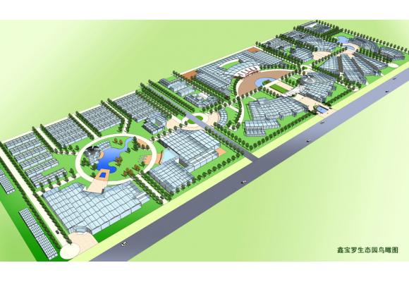 北京最大的兰花孵化基地隆重招商