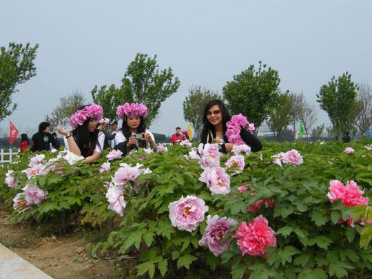 2009菏泽国际牡丹花会