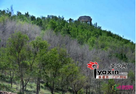 乌鲁木齐“树上山” 绿化提升雅山等9座荒山 乌鲁木齐“树上山” 绿化提升雅山等9座荒山