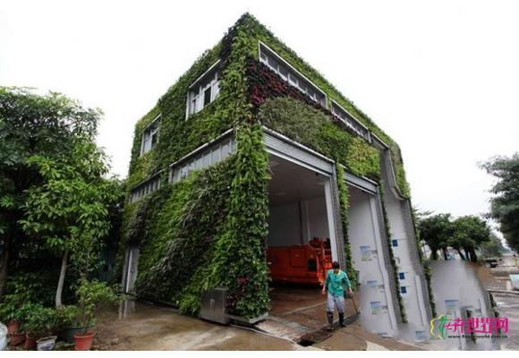 深圳:观湖垃圾转运站引进法式绿化植物墙技术 深圳:观湖垃圾转运站引进法式绿化植物墙技术