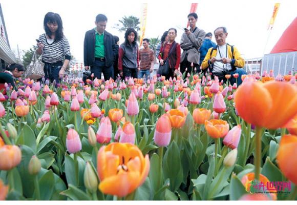 本届花市热闹非凡