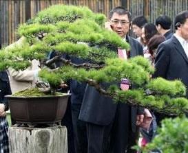 邵琪伟参访台北花博会 对互动科技表示惊奇(图)