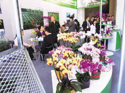 外商瞄上中国花卉市场