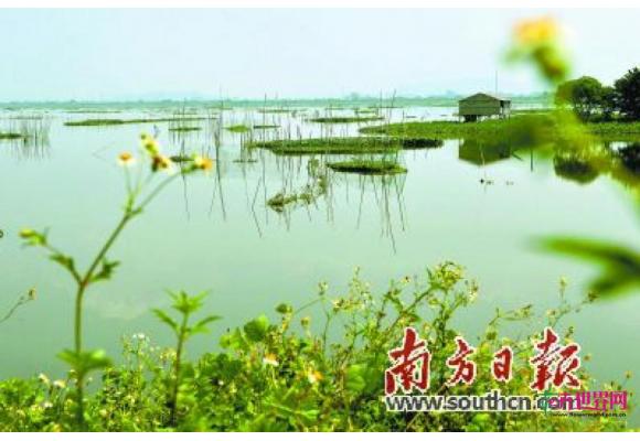广东:以最严格环保要求 守护原始湿地风情 广东:以最严格环保要求 守护原始湿地风情
