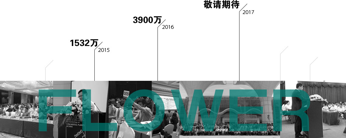 公司简介