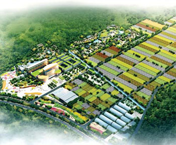 海南国际园区规划