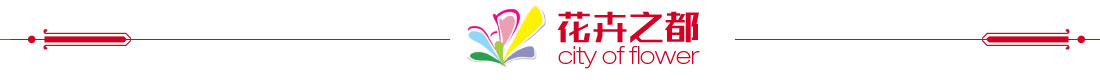 花卉之都