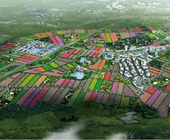 南国花卉园区规划