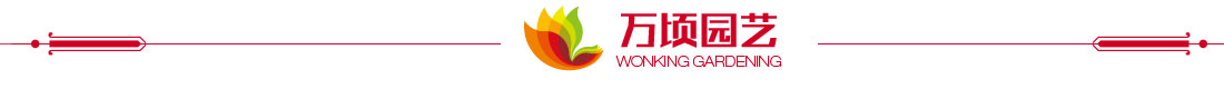 万顷园艺