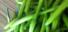 小黄花菜