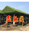 广东省中山市盆趣园 广东省中山市盆趣园