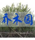 乔木园