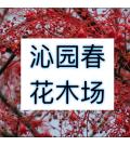 广东省中山市沁园春花木场 广东省中山市沁园春花木场