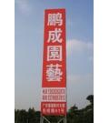 佛山市顺德区鹏成园艺 佛山市顺德区鹏成园艺