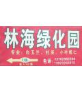 广东省广州市番禺区林海绿化园