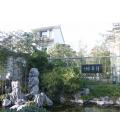 南京九龙苗木园艺场