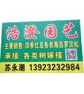 顺德陈村浩澄园艺