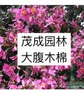 佛山市茂成园林