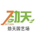 广州市荔湾区劲天园艺场