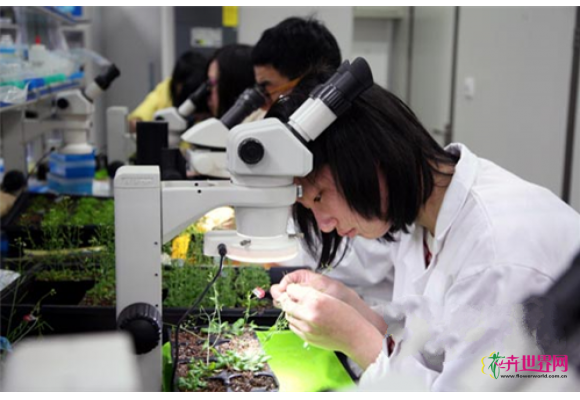 浙江：亚热带森林培育国家重点实验室落户杭州