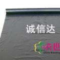 地膜