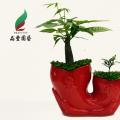 小森林