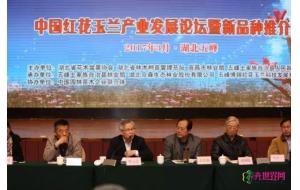 中国红花玉兰产业发展论坛暨新品种推介会在湖北召开 中国红花玉兰产业发展论坛暨新品种推介会在湖北召开