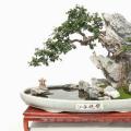 江吞绝碧