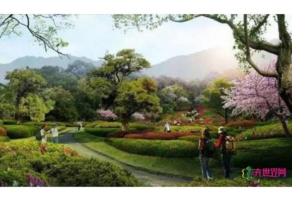 江津：打造重庆第一综合性主题花卉公园
