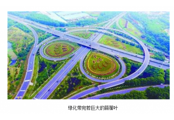 巨型绿化装扮南京柳塘立交桥