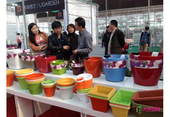 2013广州国际盆栽植物展今天开幕