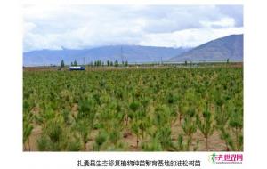 西藏万亩生态修复植物种苗繁育基地加紧建设