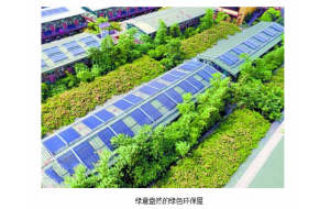 广州打造"绿化屋" 经济效益与环保效益不可估量