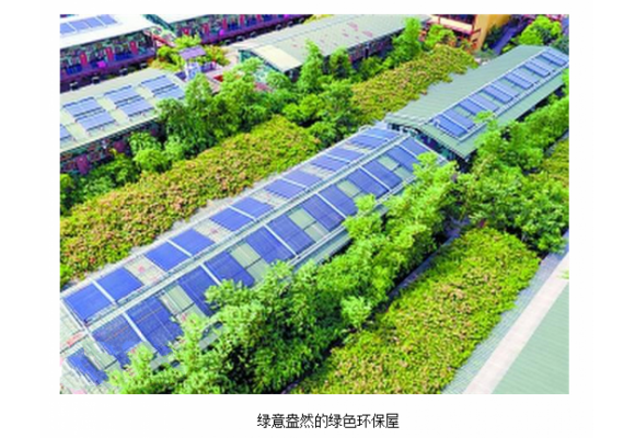 广州打造"绿化屋" 经济效益与环保效益不可估量