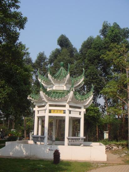 大观园景点—牡丹亭