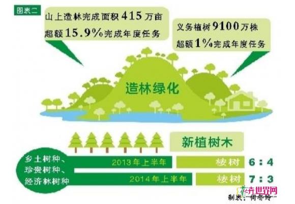 广西林业经济上半年两位数增长 