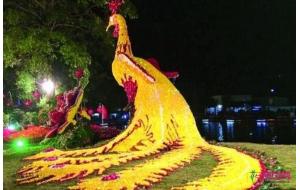 广东：花农巧夺天工 拼出“菊凤凰”