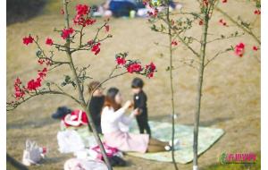 重庆:春光无限好 山城春意闹 重庆:春光无限好 山城春意闹