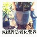 营养杯（钵）