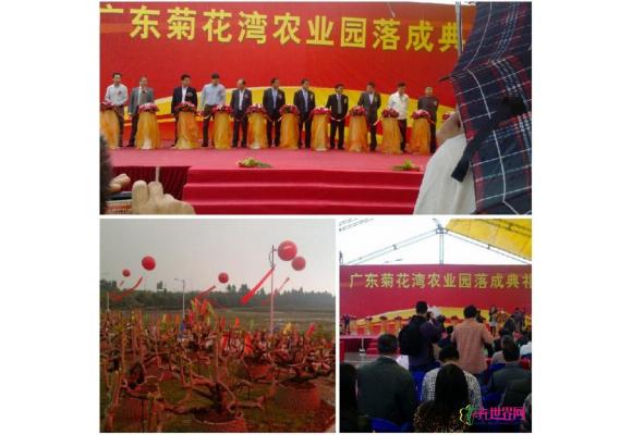 菊花湾-顺德再添一家现代农业生产基地