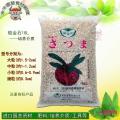 植金石18L中