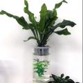 花盆/花篮/花瓶